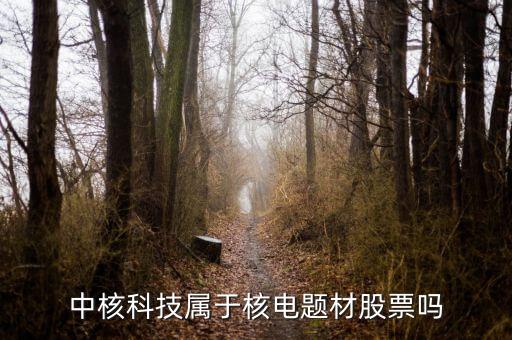 中核科技是什么板塊，中核科技屬于核電題材股票嗎