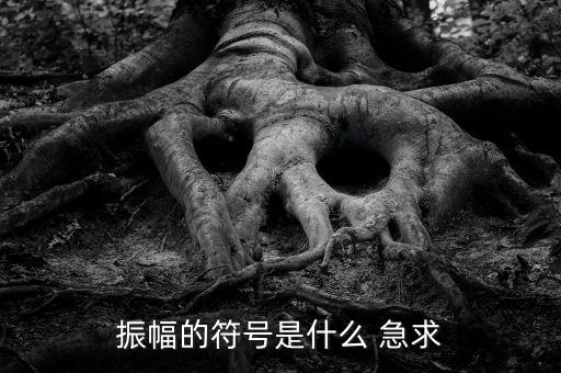 什么振幅，振幅的符號是什么 急求