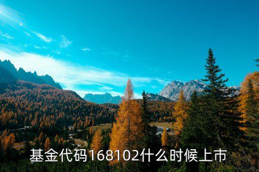 168101基金什么時(shí)候上市，基金代碼168102什么時(shí)候上巿