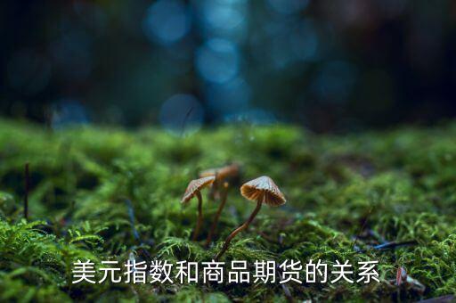 燃油指數(shù)和燃油期貨什么關(guān)系，美元指數(shù)和商品期貨的關(guān)系