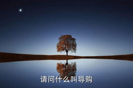 電商導(dǎo)購是什么，什么是導(dǎo)購