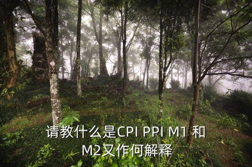 m2指數(shù)是什么，請教什么是CPI PPI M1 和 M2又作何解釋