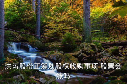洪濤股份收購什么公司，002325股權(quán)收購不成功股票會漲嗎