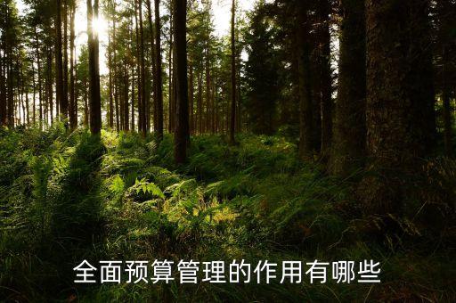 什么是預(yù)算管理，什么是預(yù)算控制