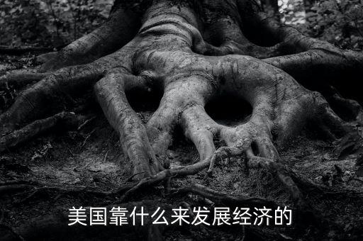 美國(guó)經(jīng)濟(jì)靠什么，美國(guó)靠什么來(lái)發(fā)展經(jīng)濟(jì)的