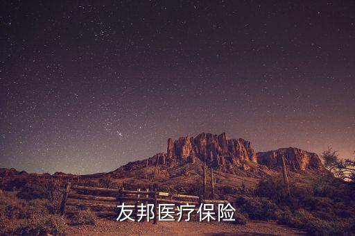 花旗代理友邦什么保險，花旗和友邦合作的意外保險怎么樣