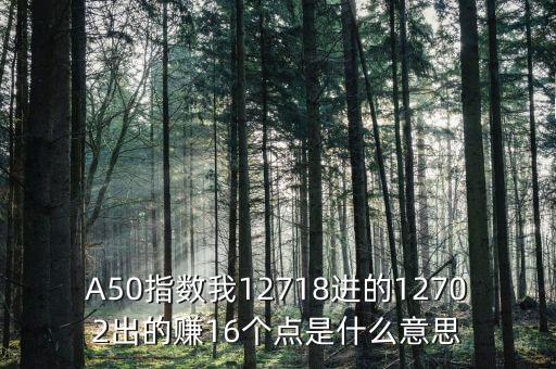 a50指數(shù)1510是什么，A50指數(shù)我12718進(jìn)的12702出的賺16個點是什么意思