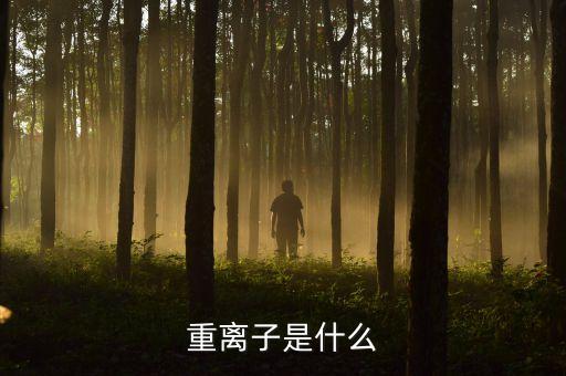 質(zhì)子重離子是什么意思，重離子是什么