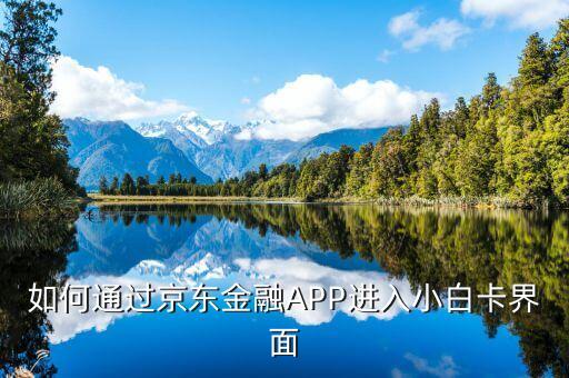 登陸京東金融后進入什么頁面，京東金融app借錢界面在哪里啊