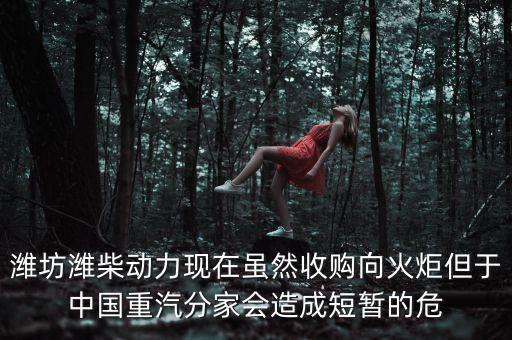 重汽為什么沒有濰柴了，中國重汽還有濰柴發(fā)動(dòng)機(jī)嗎