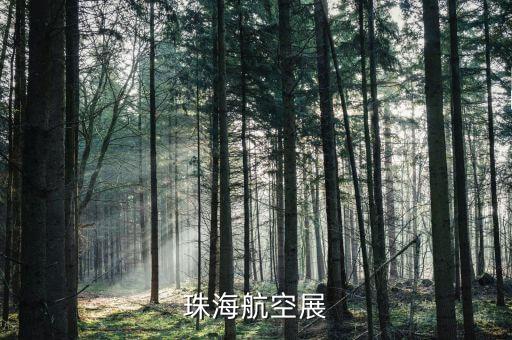 珠海航展公司是什么企業(yè)，珠海航空展