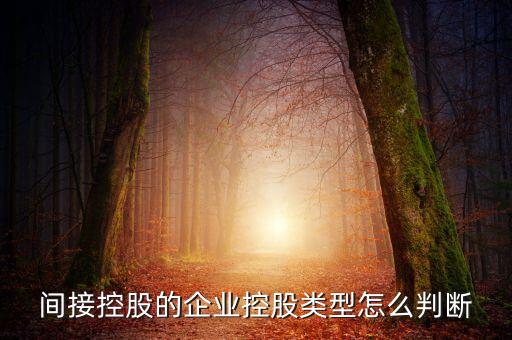 間接持股是什么意思，間接是什么意思