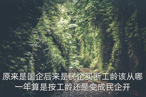 廣西貴糖什么時候變私企，廣西在什么時候開始變得落后起來的原因是
