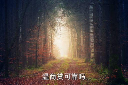 溫商貸是什么東西，溫商貸是真的嗎
