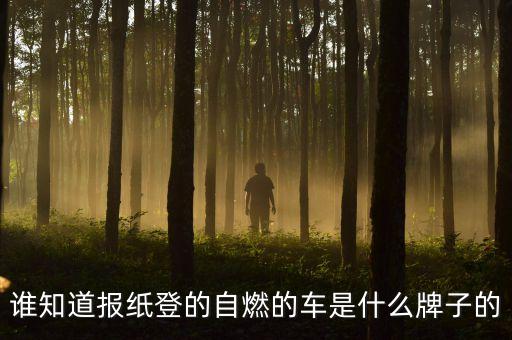 延安路轎車自燃什么牌子的車，誰知道報紙登的自燃的車是什么牌子的