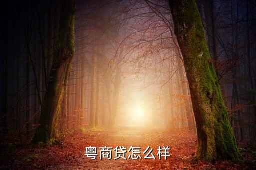 粵商貸為什么改名，粵商貸怎么樣