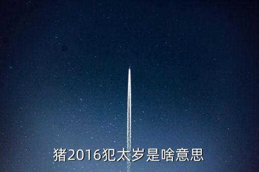 2016年犯什么星辰表，1974年的人在2016年犯太陽星嗎