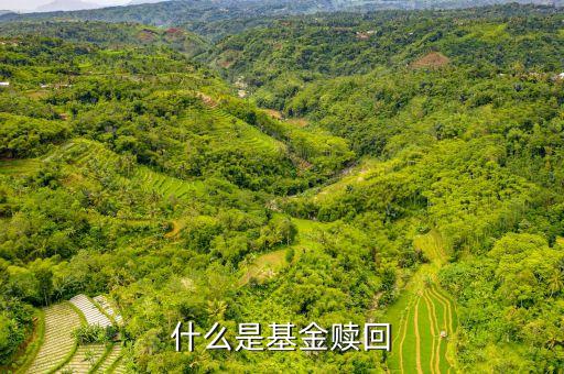 贖回基金什么意思，什么是基金的贖回