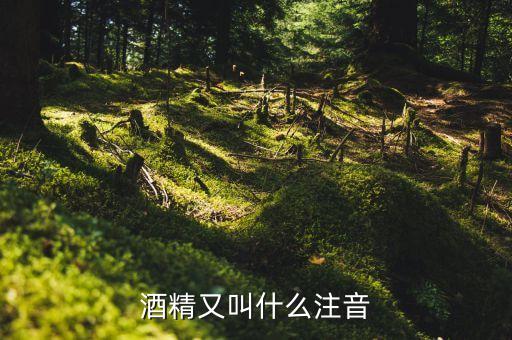 酒經(jīng)酒驚又名什么，酒精又叫什么注音