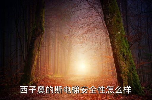 西子奧的斯電梯有什么缺陷，西子奧的斯電梯安全性怎么樣