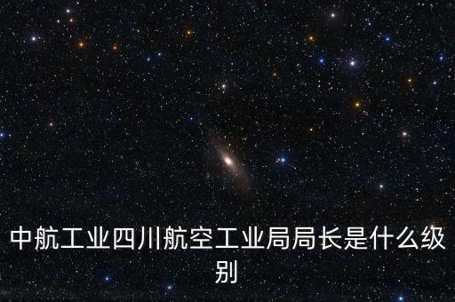 中航王斌什么級(jí)別，中航工業(yè)陜飛集團(tuán)董事長(zhǎng)是什么行政級(jí)別