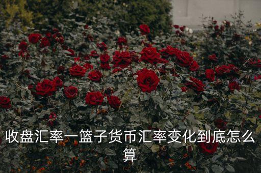 cfets貨幣籃子是什么，CF中籃子和UT代表什么