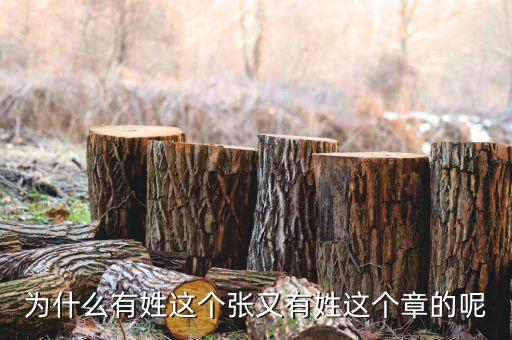 中石油黃炎什么級(jí)別，大家知道有誰(shuí)姓耜