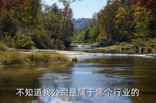 飛躍集團(tuán)屬于什么行業(yè)，臺州飛 躍集團(tuán)是做什么的