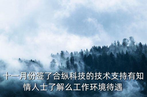 合縱科技是做什么的，合縱科技在那個開發(fā)區(qū)