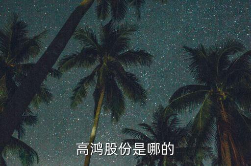 高鴻股份股票什么時候開，300500高瀾股份什么時候上市