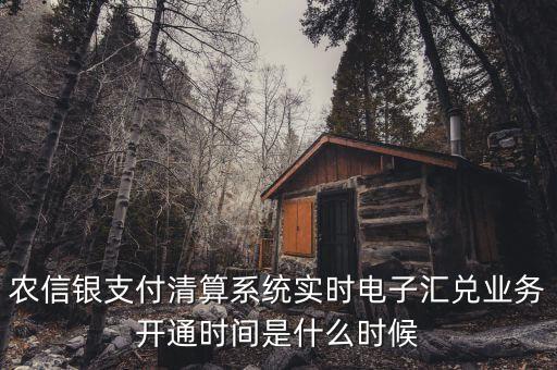 什么是特約電子匯兌，各位大神請問有誰知道建行卡交易明細(xì)清單上寫的特約匯融