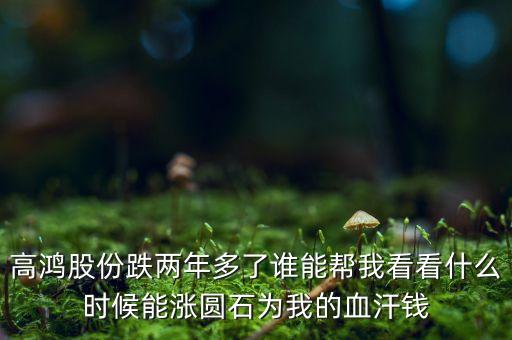 高鴻股份跌兩年多了誰能幫我看看什么時候能漲圓石為我的血汗錢