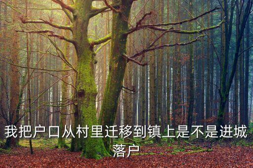 進(jìn)城落戶是什么意思，進(jìn)城務(wù)工人員隨遷子女是什么意思