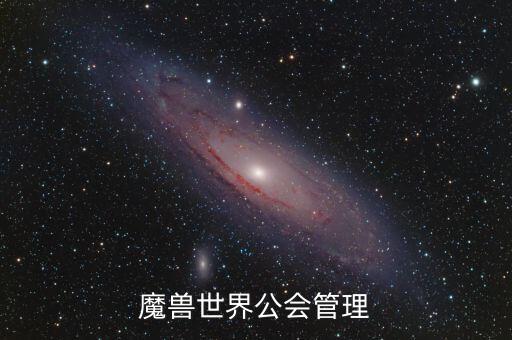 什么是雙ceo制，PIS可以把BURNING趕跑C位試問還有誰可以做到