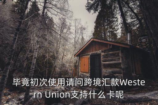 什么是西聯(lián)，畢竟初次使用請(qǐng)問跨境匯款Western Union支持什么卡呢