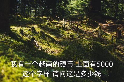 我有一個(gè)越南的硬幣 上面有5000這個(gè)字樣 請(qǐng)問(wèn)這是多少錢(qián)