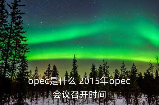 什么是opec會議，OPEC石油會議是什么時候召開啊石油價格會受影響嗎