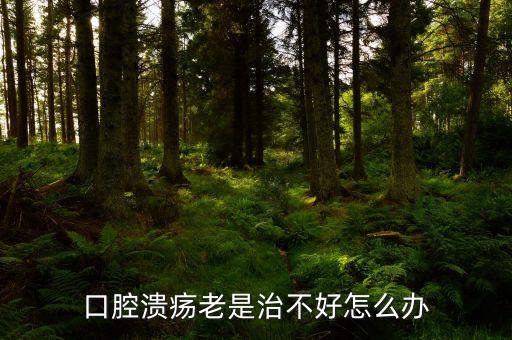 云南咖啡豆在什么時(shí)候采摘，云南小?？Х仍趺闯砸髥?/></a></span><span id=