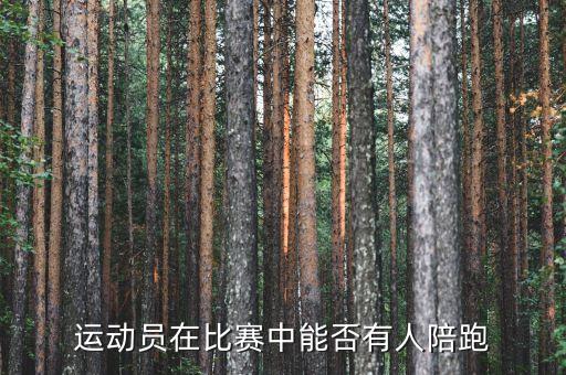 陪跑是什么，責(zé)罰是什么意思