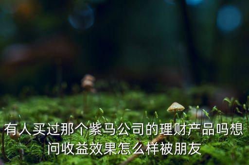 紫馬財(cái)富什么時(shí)間，有人買過那個(gè)紫馬公司的理財(cái)產(chǎn)品嗎想問收益效果怎么樣被朋友