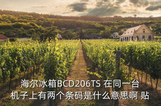 海爾冰箱BCD206TS 在同一臺機(jī)子上有兩個(gè)條碼是什么意思啊 貼