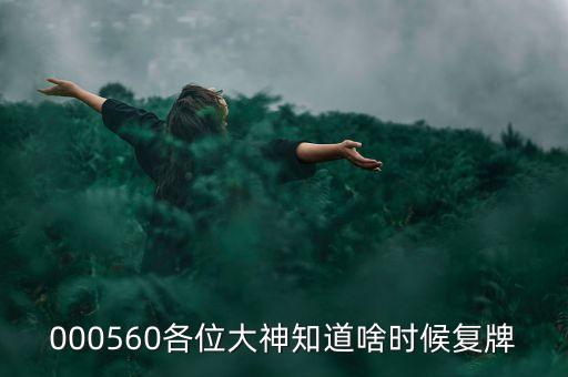 精功科技什么時(shí)候復(fù)牌，000560各位大神知道啥時(shí)候復(fù)牌