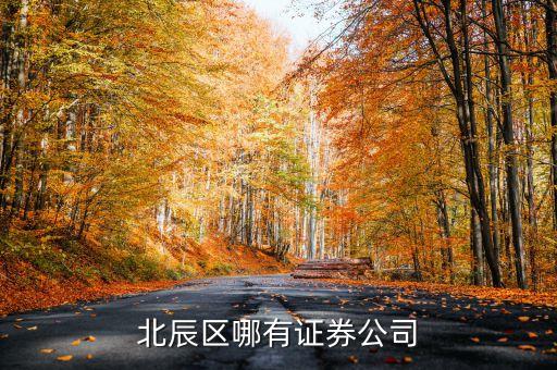 北辰區(qū)有什么證券工司，昆明北市區(qū)北辰小區(qū)或和諧世紀(jì)那邊有沒有證券交易所