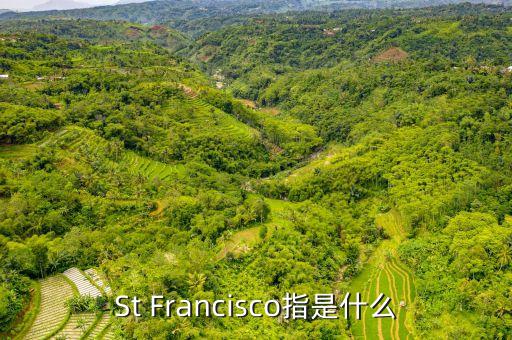 st戰(zhàn)略是什么，ST戰(zhàn)略是什么意思