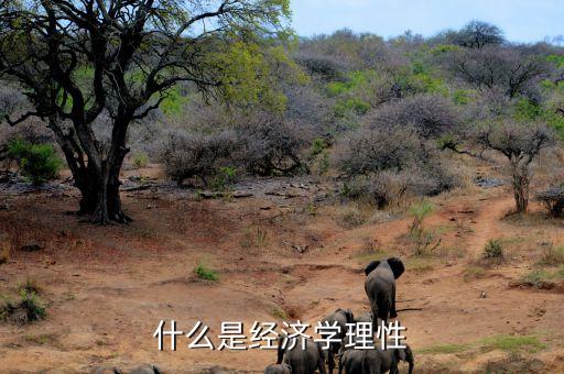 什么是市場理性，市場回歸理性是什么意思