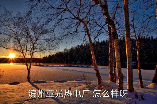 濱州亞光單位性質是什么，濱州亞光熱電廠 怎么樣呀
