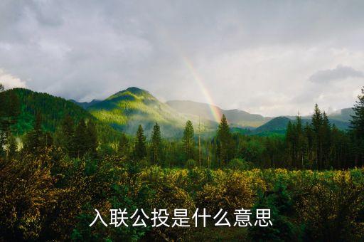 返聯(lián)公投是什么意思是什么意思，公投是什么意思