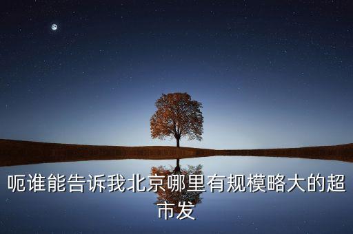 北京超市發(fā)有什么部門，呃誰(shuí)能告訴我北京哪里有規(guī)模略大的超市發(fā)