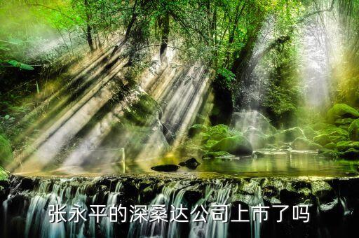 深桑達(dá)是做什么的，深圳市福田區(qū)華發(fā)北路桑達(dá)大廈是做什么的