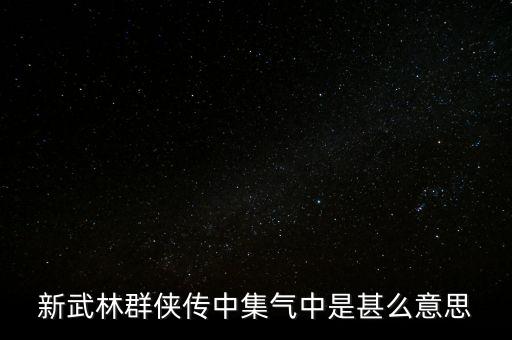 中集是什么意思，新武林群俠傳中集氣中是甚么意思